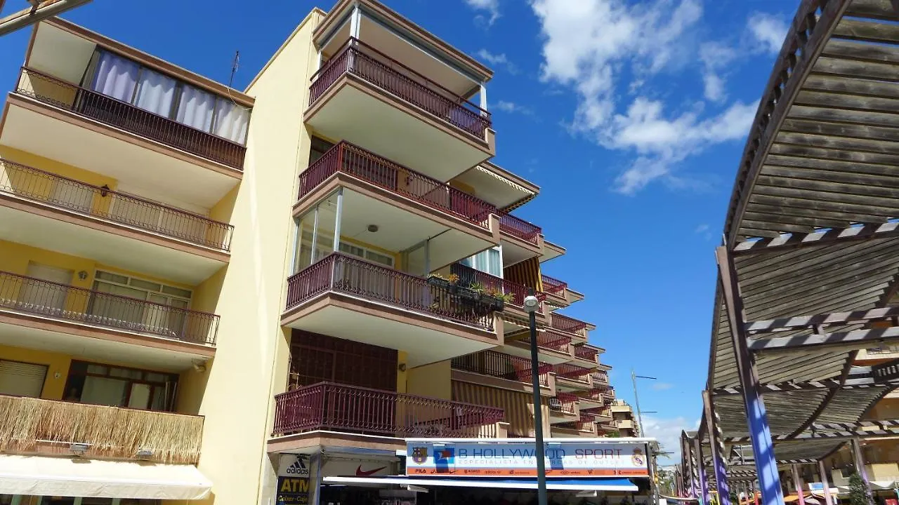 公寓 Apartamentos Alfonso I Palmyra 萨洛 西班牙